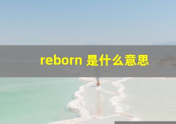 reborn 是什么意思